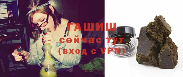 гашик Козельск
