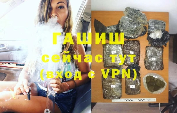 гашик Козельск