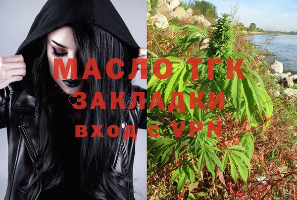 гашик Козельск
